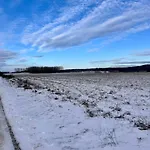 5 Min - Feldlerche Auf Usedom Kamminke