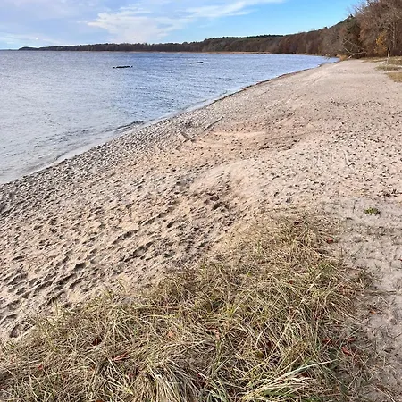 5 Min - Feldlerche Auf Usedom *