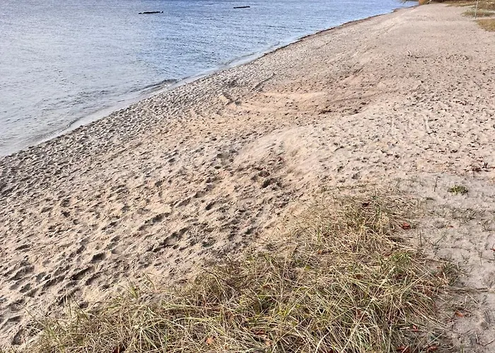 5 Min - Feldlerche Auf Usedom *