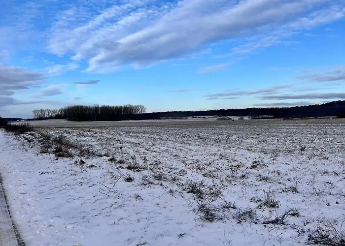 5 Min - Feldlerche Auf Usedom Kamminke
